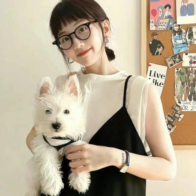 四大名捕重出江湖
